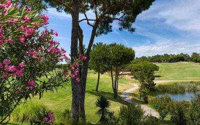 Uncover Algarve’s Gem: Top 10 Activities to Do in Vilamoura