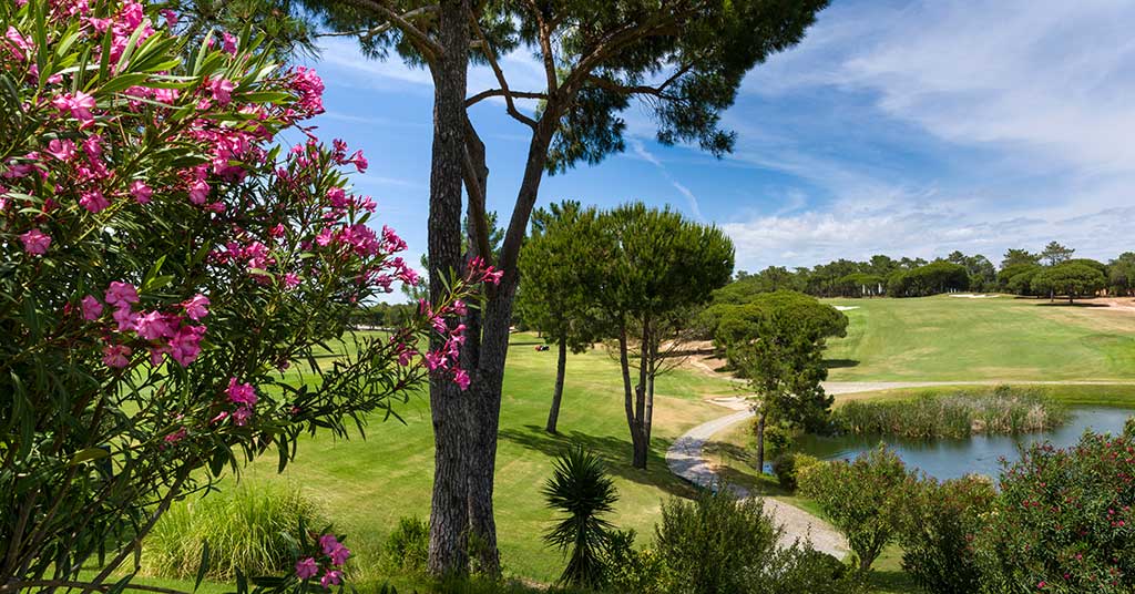 Things-to-do-in-Vilamoura