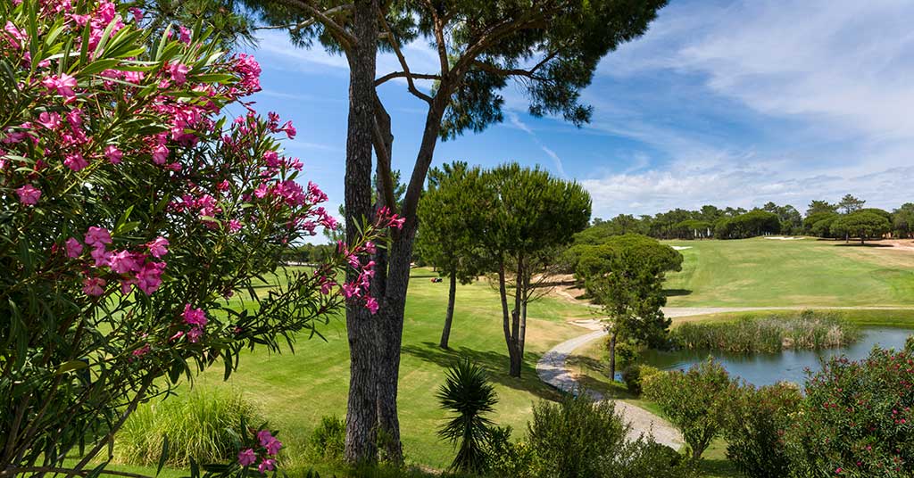 Uncover Algarve’s Gem: Top 10 Activities to Do in Vilamoura